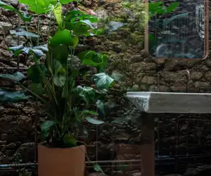 bathroom detail 