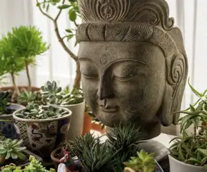 Buddha head