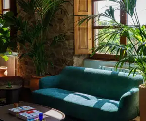 blue sofa